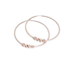 Fancy Bracelets (BRACELET-8004)